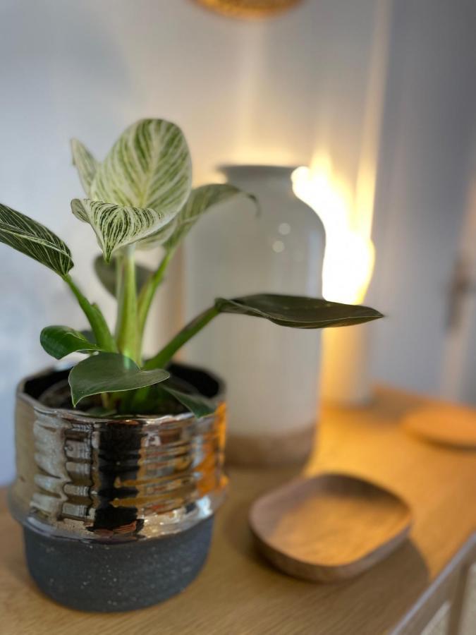 Canopee - Appartement - Hyper Centre Ville Quimper Ngoại thất bức ảnh